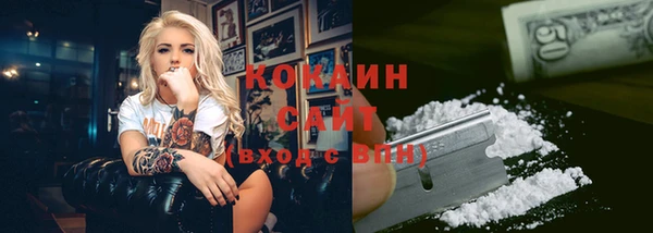 a pvp Бородино