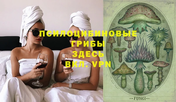 2c-b Верея