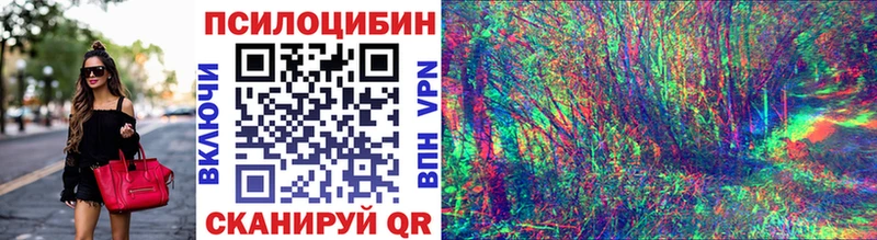 KRAKEN как войти  Зима  Галлюциногенные грибы Cubensis  где купить наркотик 